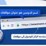 كيف تختار اسم دومين مناسب لموقعك؟ دليل للمبتدئين مثال على اسم الدومين للمبتدئين